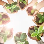 La capitozzatura è rischiosa per le piante?