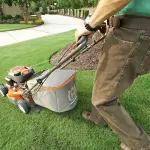 I migliori consigli per prendersi cura del proprio giardino nel migliore dei modi