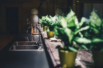 piante casa